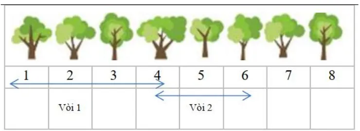 Hàng 8 cây đánh số 1 đến 8; vòi 1 ở cây 2 tưới cây 1 đến 4, vòi 2 ở cây 5 tưới cây 4 đến 6