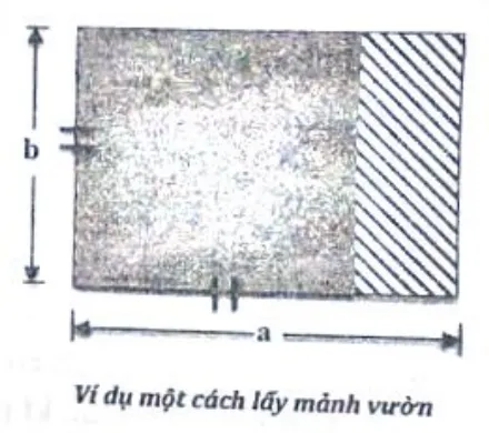 Khu vườn hình chữ nhật kích thước a × b, phần hình vuông cạnh b được tô đậm, phần còn lại gạch chéo