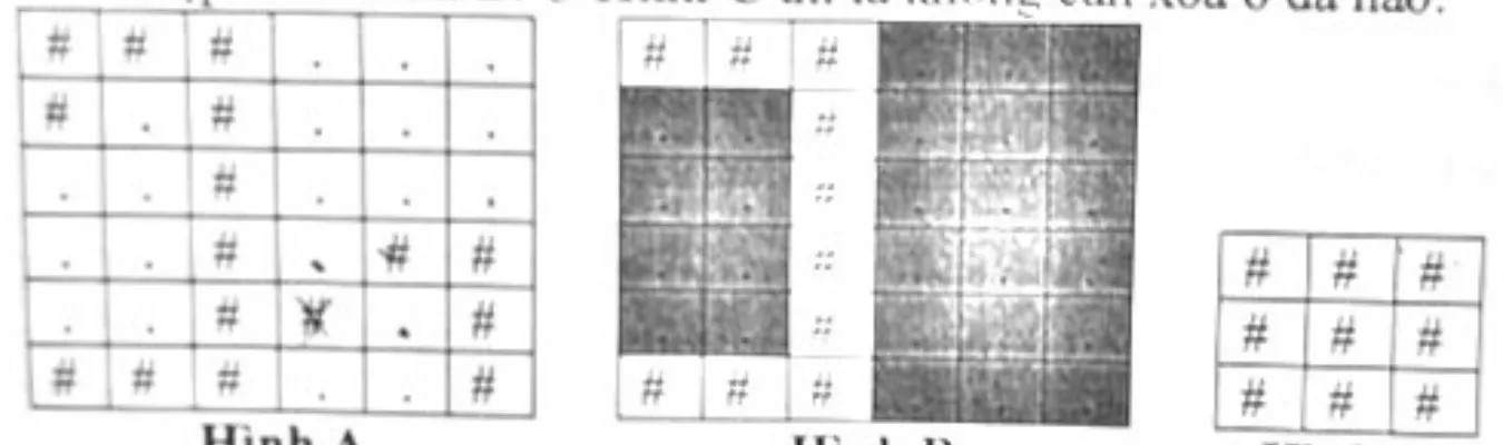 Hình A: lưới 6x6 ban đầu; Hình B: hai khu vườn Thiền đẹp sau khi loại bỏ 6 ô đá; Hình C: lưới 3x3 toàn đá