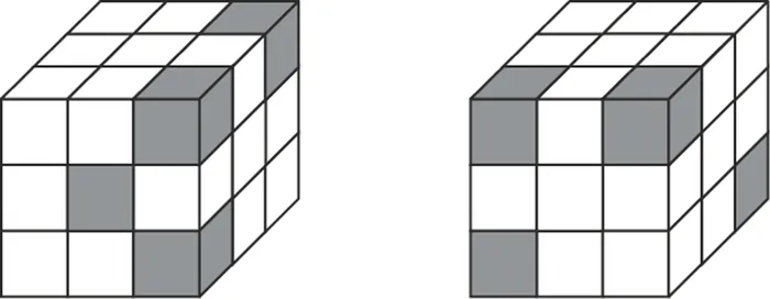 Hai hình nhìn khối lập phương 3 × 3 × 3 từ hai hướng khác nhau, một số ô vuông trên các mặt có màu xám đen