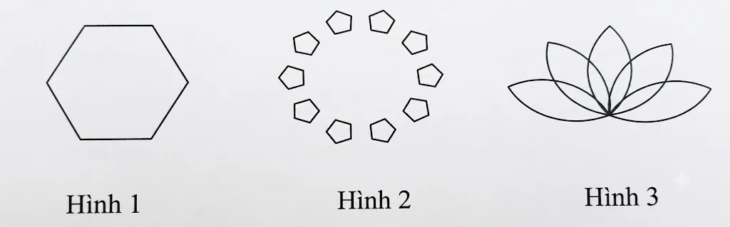 Hình 1: lục giác đều cạnh 60. Hình 2: 10 ngũ giác nhỏ (hoạ tiết hoa văn) xếp cách đều quanh một vòng tròn. Hình 3: quạt 5 cánh hoa hình elip cùng xuất phát từ gốc toạ độ