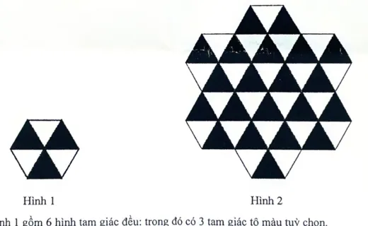 Hình 1: lục giác gồm 6 tam giác đều, 3 tam giác tô đen xen kẽ 3 tam giác trắng; Hình 2: bông hoa ghép từ 7 hình như Hình 1, tam giác đỉnh hướng lên tô đen, tam giác đỉnh hướng xuống để trắng