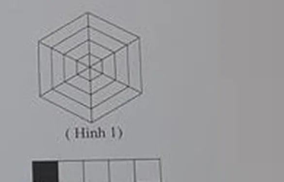 Hình 1: 4 hình lục giác đều đồng tâm, các đỉnh tương ứng nối với nhau tạo hiệu ứng đường hầm/khối lập phương, 3 đường chéo chính đi qua tâm