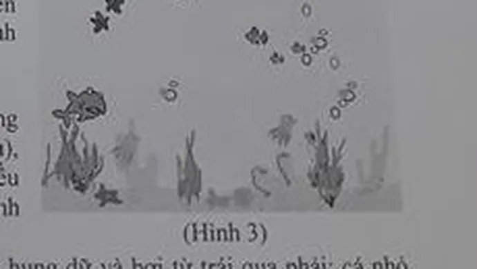 Hình 3: cảnh bể cá với cá mập, cá nhỏ, sao biển, rong biển và bong bóng nước nổi lên