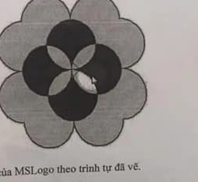 Logo hoa phượng: hoa văn tạo bởi 4 hình tròn lớn chồng lấn theo hình chữ thập tạo 4 cánh hoa ngoài (vàng viền hồng), phần chồng lấn giữa các hình tròn tạo 4 vùng cánh hoa giữa tô đỏ, vùng giao trung tâm tô vàng