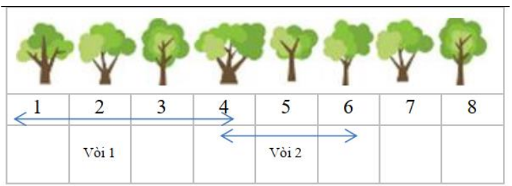 Hàng 8 cây đánh số 1 đến 8; vòi 1 ở cây 2 tưới cây 1 đến 4, vòi 2 ở cây 5 tưới cây 4 đến 6