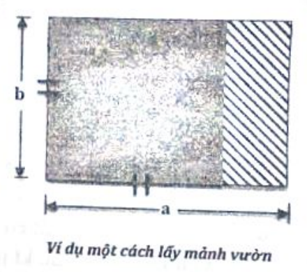 Khu vườn hình chữ nhật kích thước a × b, phần hình vuông cạnh b được tô đậm, phần còn lại gạch chéo