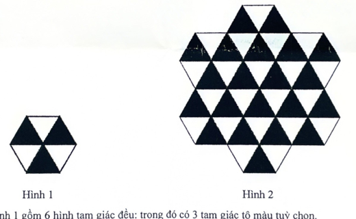 Hình 1: lục giác gồm 6 tam giác đều, 3 tam giác tô đen xen kẽ 3 tam giác trắng; Hình 2: bông hoa ghép từ 7 hình như Hình 1, tam giác đỉnh hướng lên tô đen, tam giác đỉnh hướng xuống để trắng