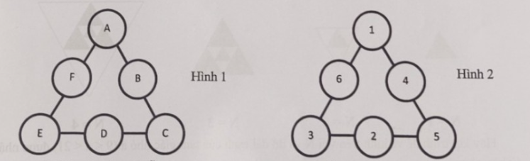 Hình 1: 6 ô tròn A, B, C, D, E, F xếp thành tam giác, 3 ô ở 3 đỉnh A, C, E và 3 ô ở giữa 3 cạnh B, D, F; Hình 2: một cách xếp với A = 1, B = 4, C = 5, D = 2, E = 3, F = 6
