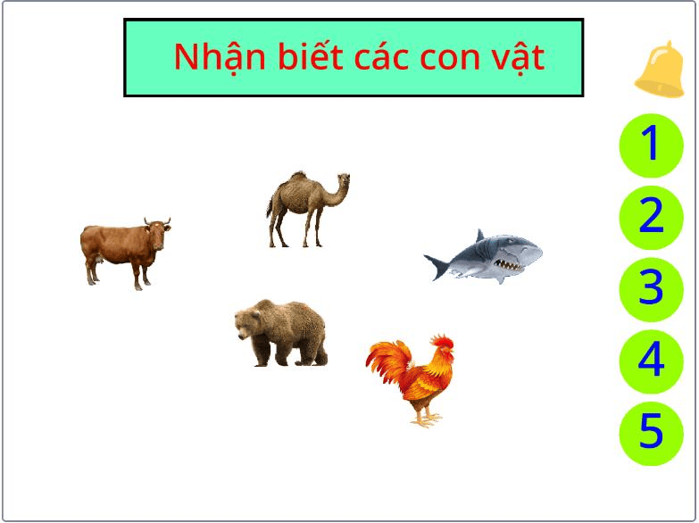 Đã mở hết 5 hình vuông: hiện con bò, lạc đà, cá mập, gấu và gà trống