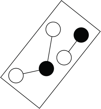 Hình C